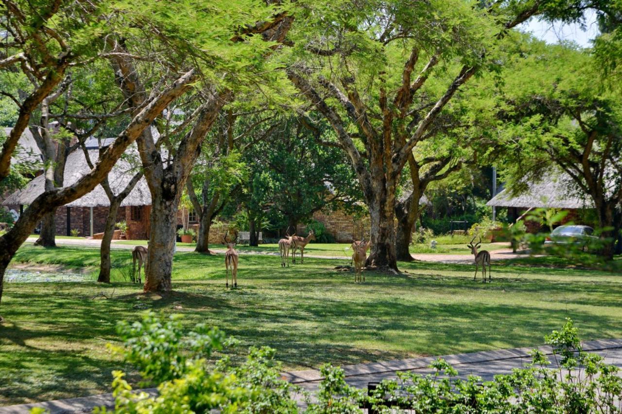 Cambalala - Luxury Units - In Kruger Park Lodge - Serviced Daily, Free Wi-Fi Hazyview Esterno foto